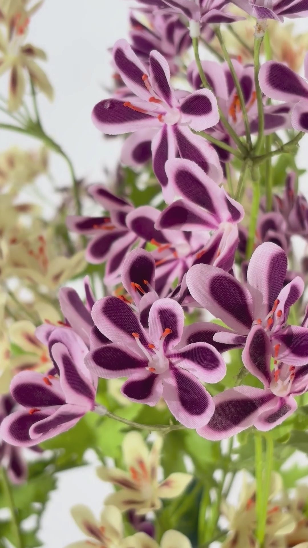 Charger la vidéo : Géranium 94 cm 1 pièce - Fleur artificielle 