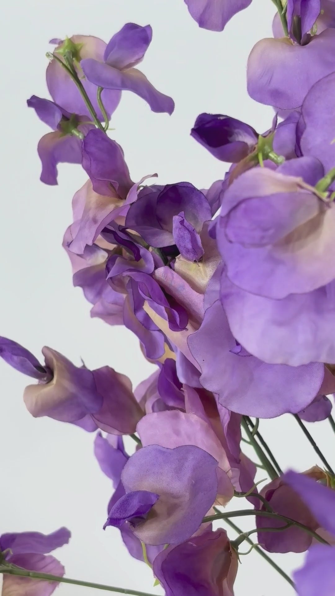 Load video: Sweet Pea 75 cm 1 pc - Artificial Flower