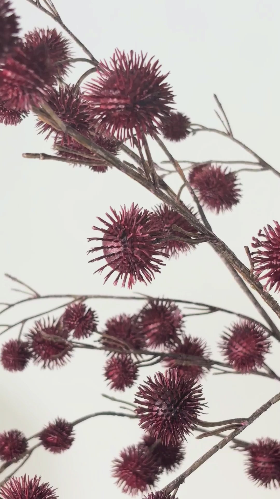 Load video: Kastanienzweig 98 cm 1 Stk. - Kunstzweig