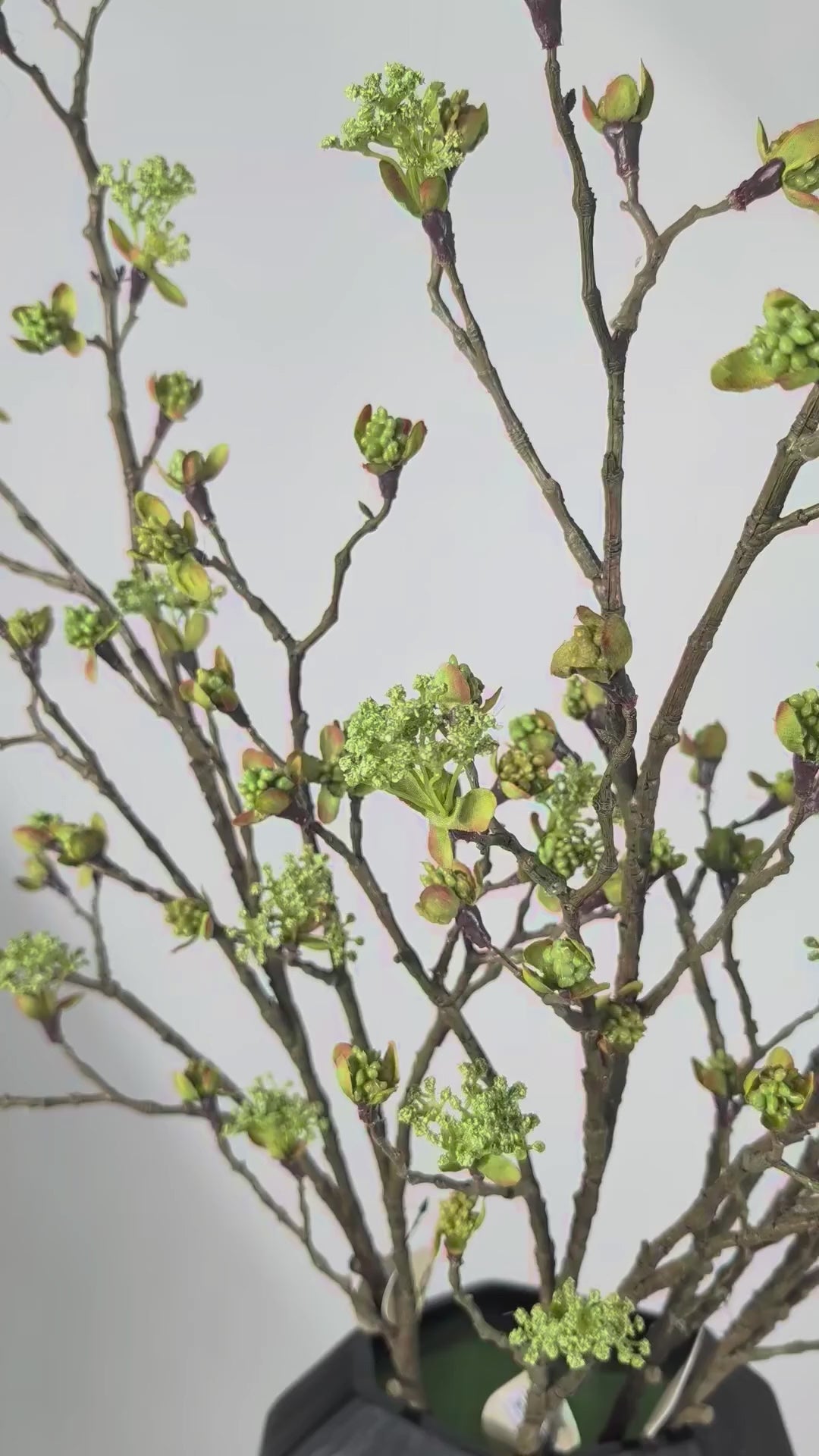 Load video: Maple Branch 110 cm 1 pc. - Artificial Branch