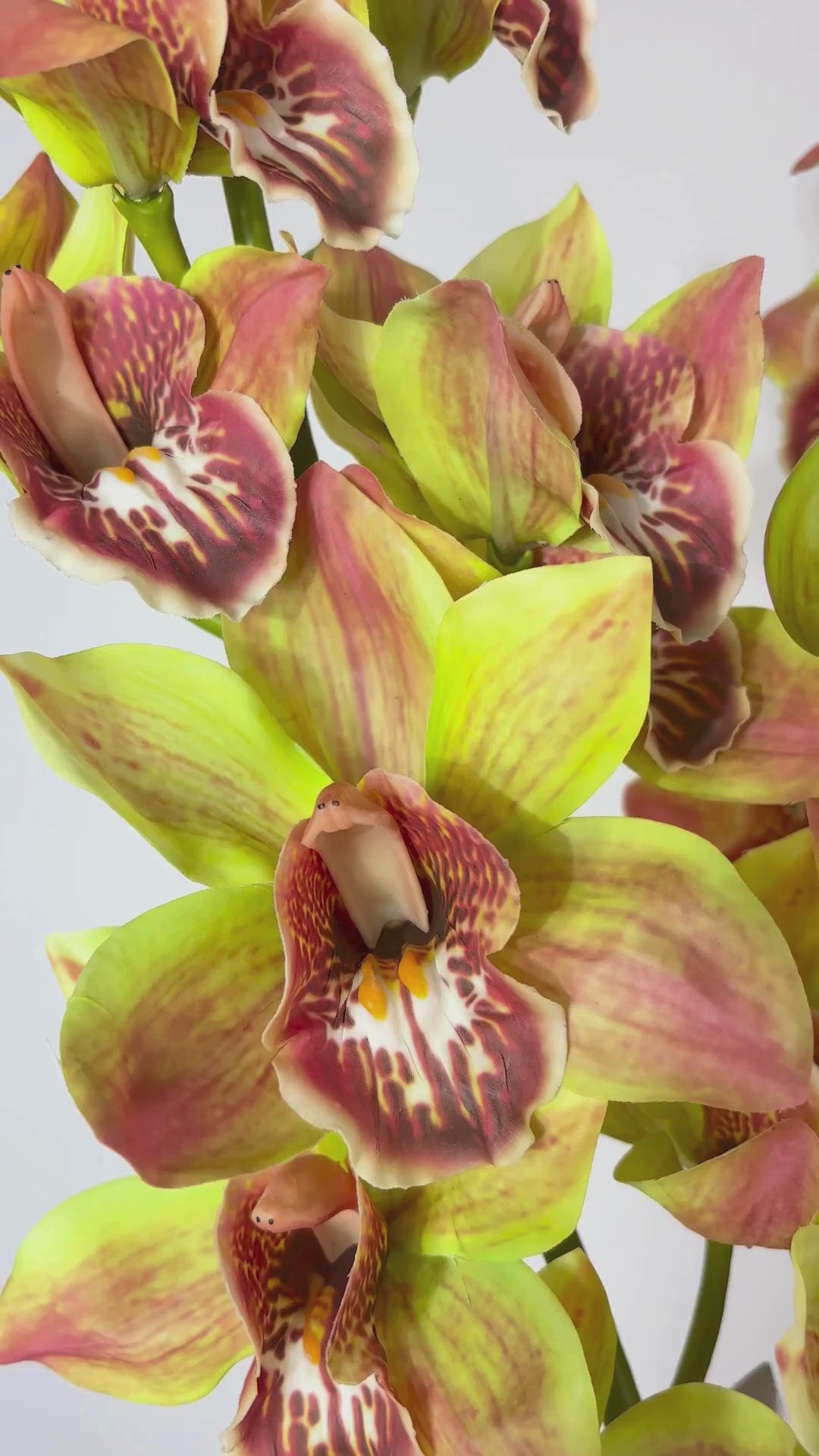Charger la vidéo : Orchidée Kahnor 93 cm 1 p. - Fleur artificielle