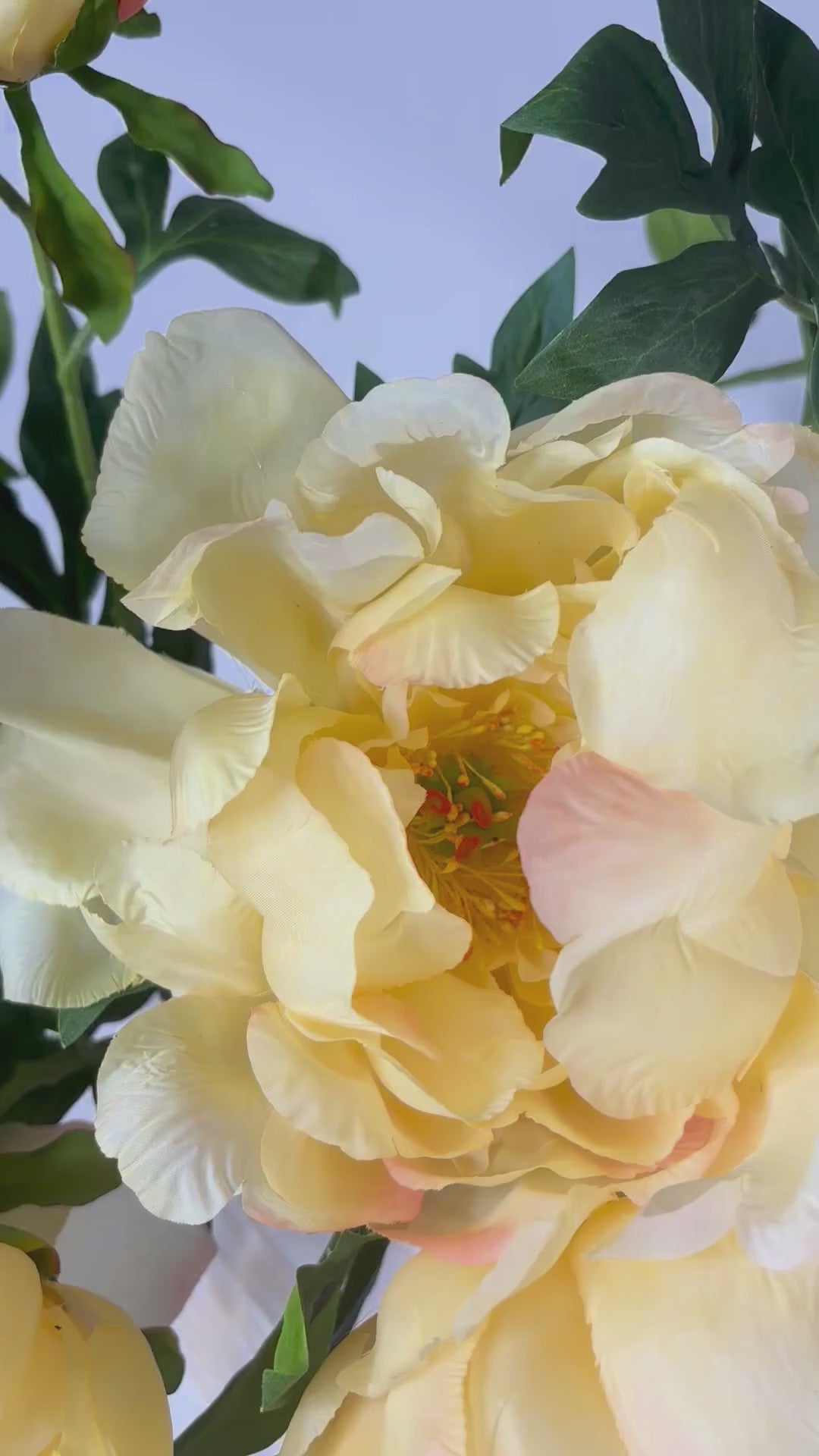 Charger la vidéo : Pivoine 65 cm 1 pc - Fleur artificielle