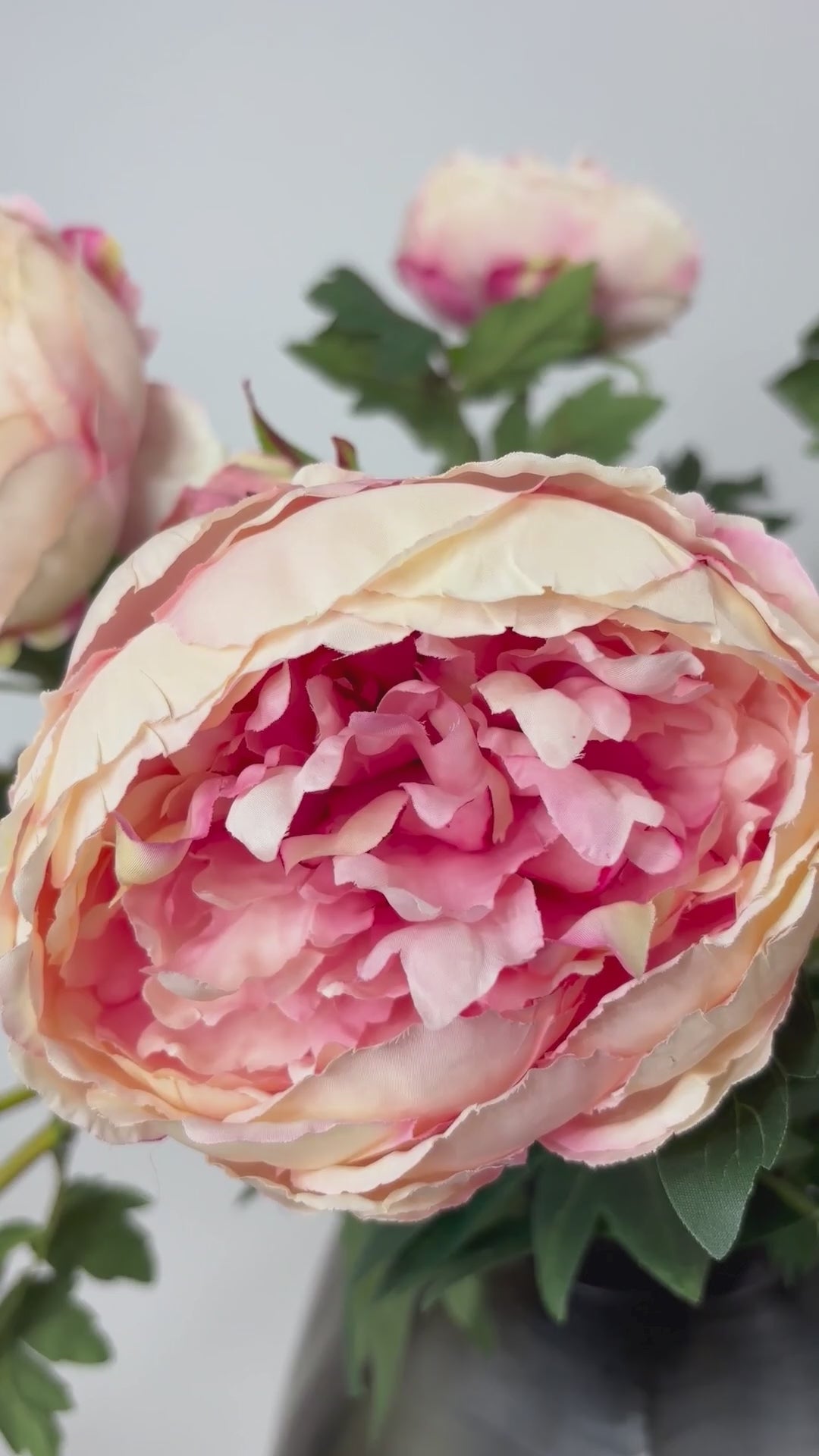 Load video: Peony 78 cm 1 pc. - Artificial flower 
