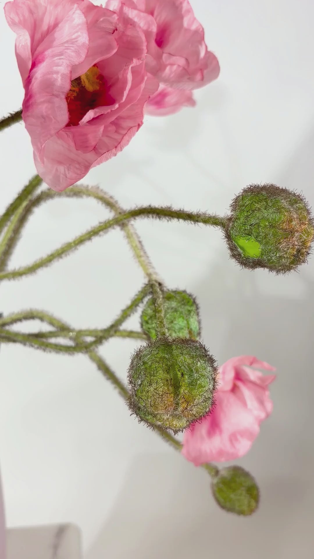 Video laden: Mohnblume 81 cm 1 Stk. - Kunstblume