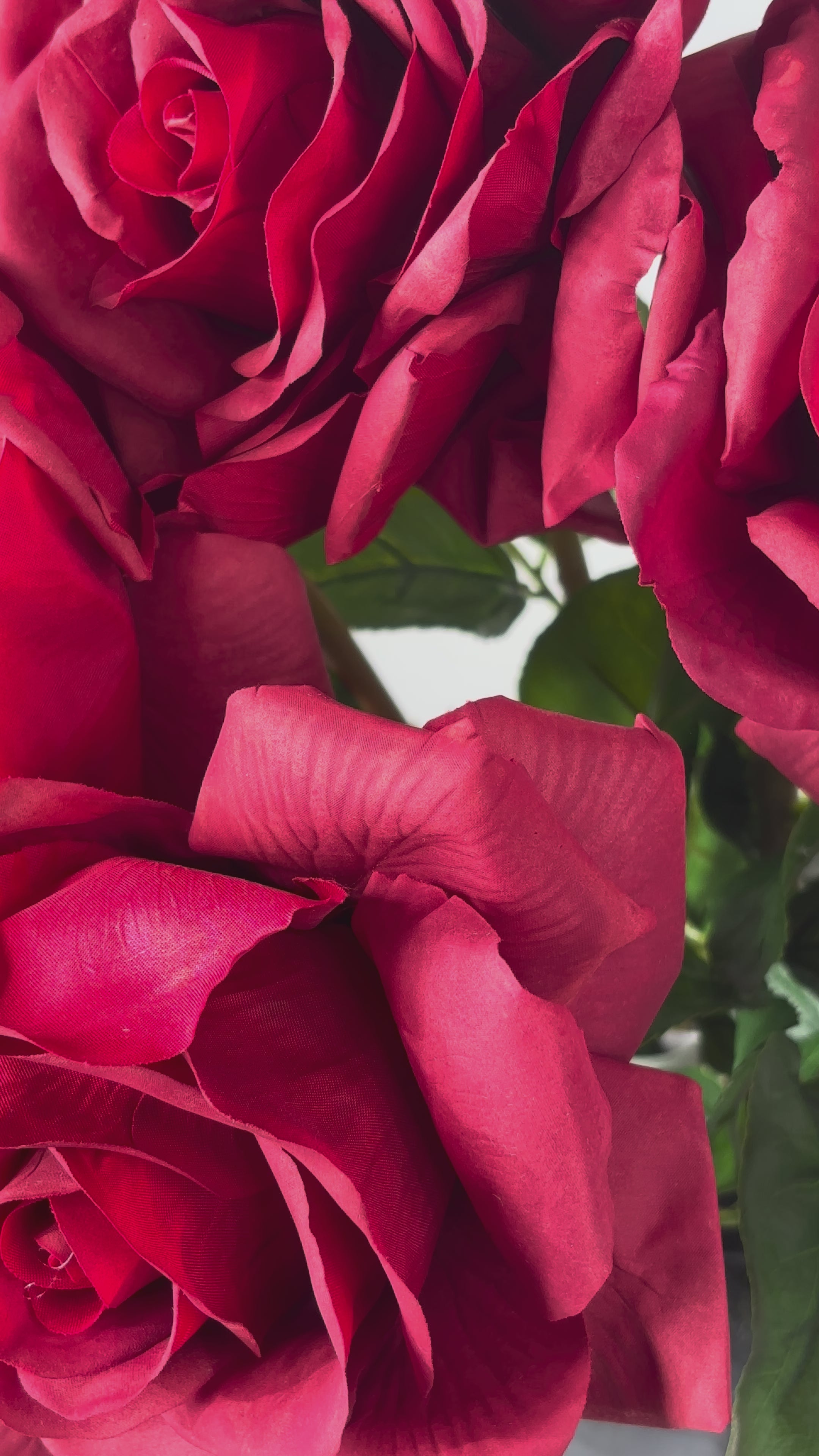 Video laden: Rose 68 cm 1 Stk. - Kunstblume