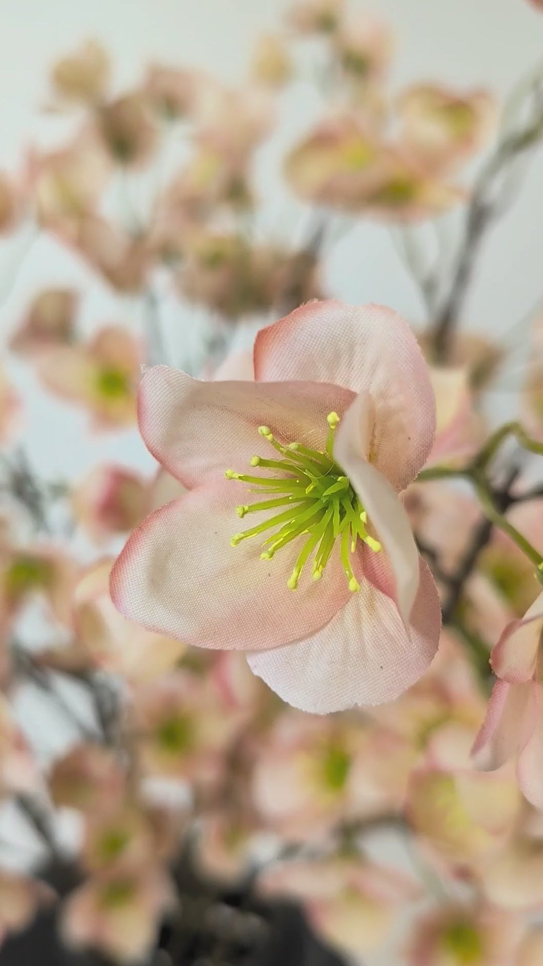 Charger la vidéo : Hellébore 105 cm 1 pce - Fleur artificielle