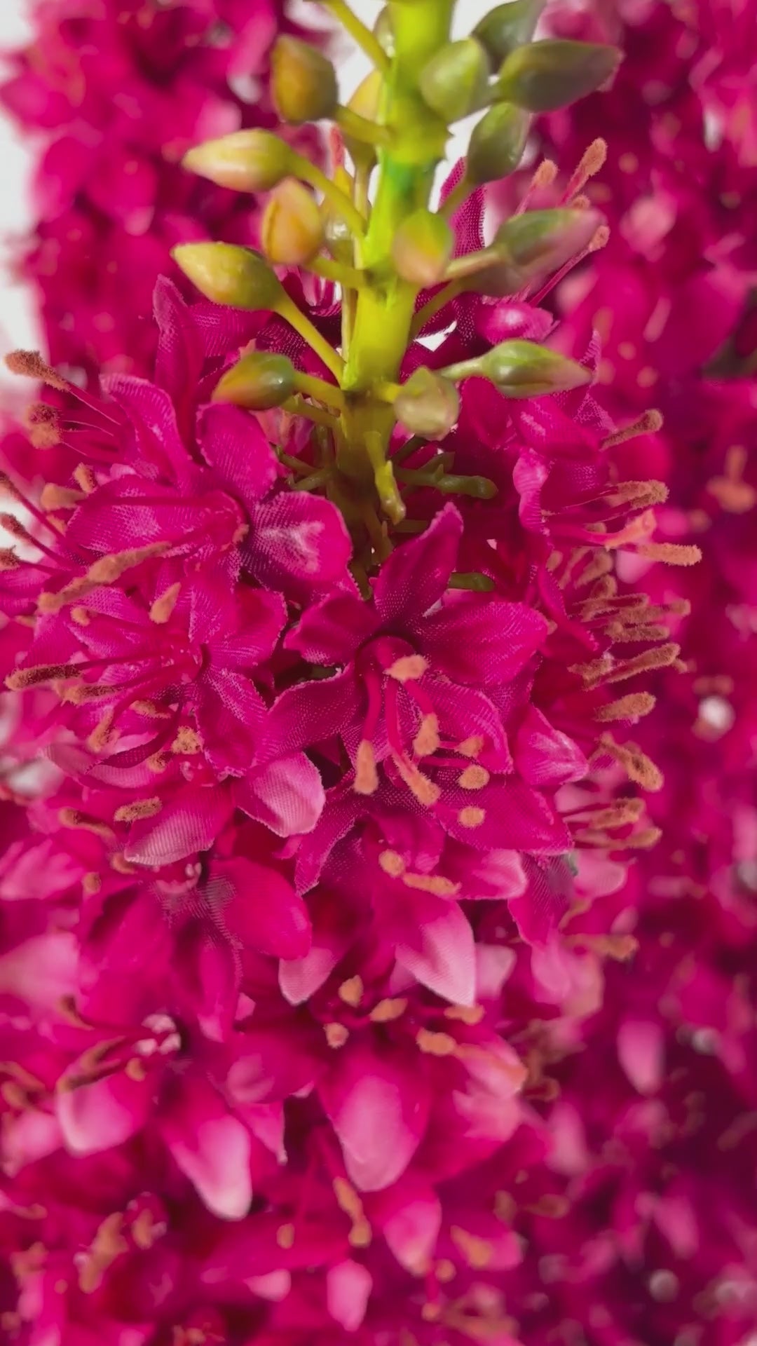 Video laden: Steppenkerze 109 cm 1 Stk.- Kunstblume