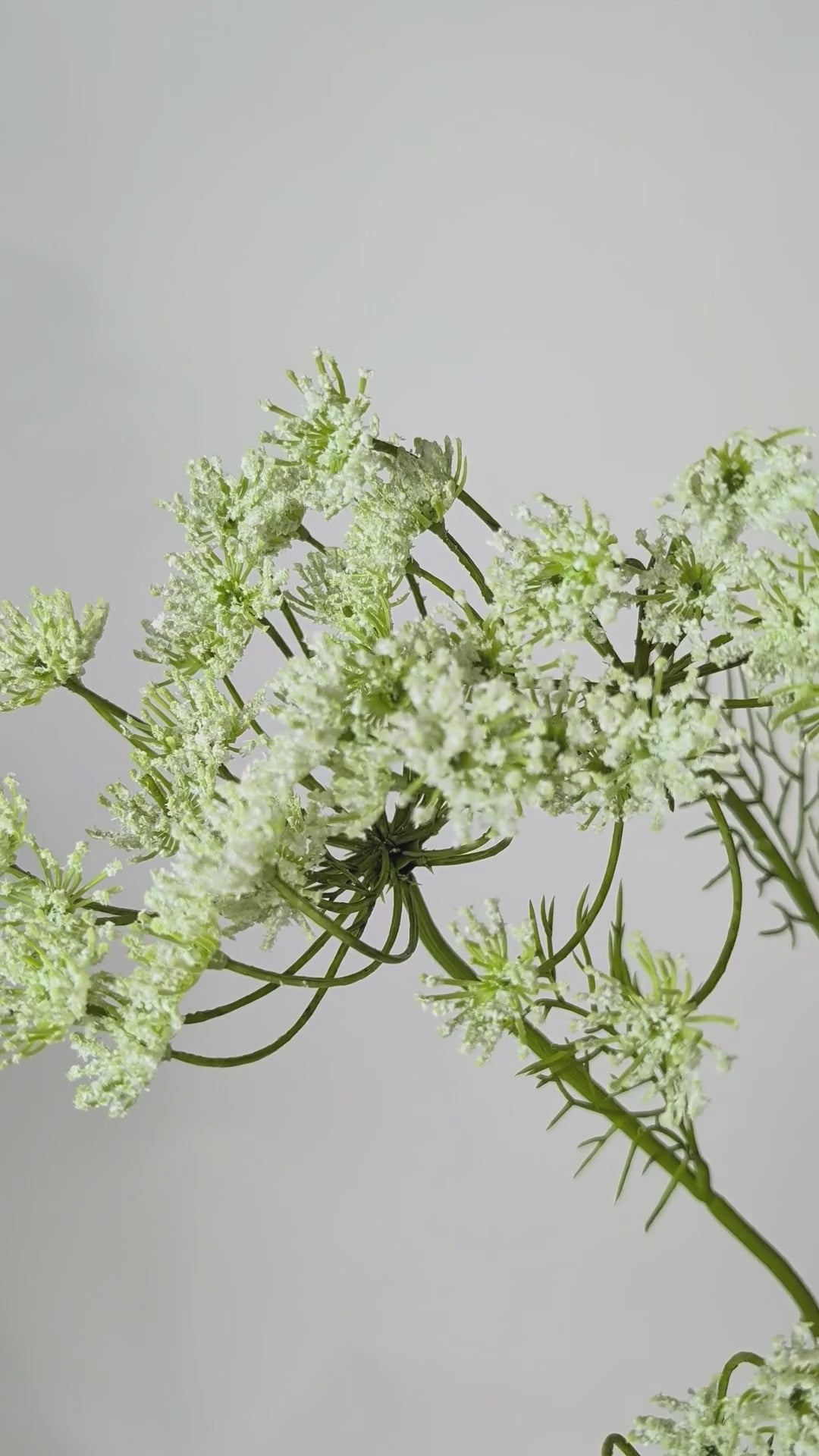 Load video: Dill sprig 142 cm 1 pc. - Artificial sprig