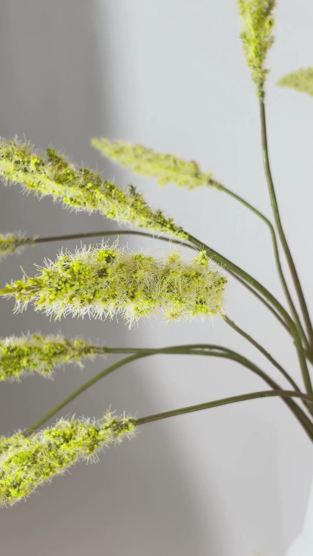 Load video: Foxtail 82 cm 1 pc. - Artificial branch