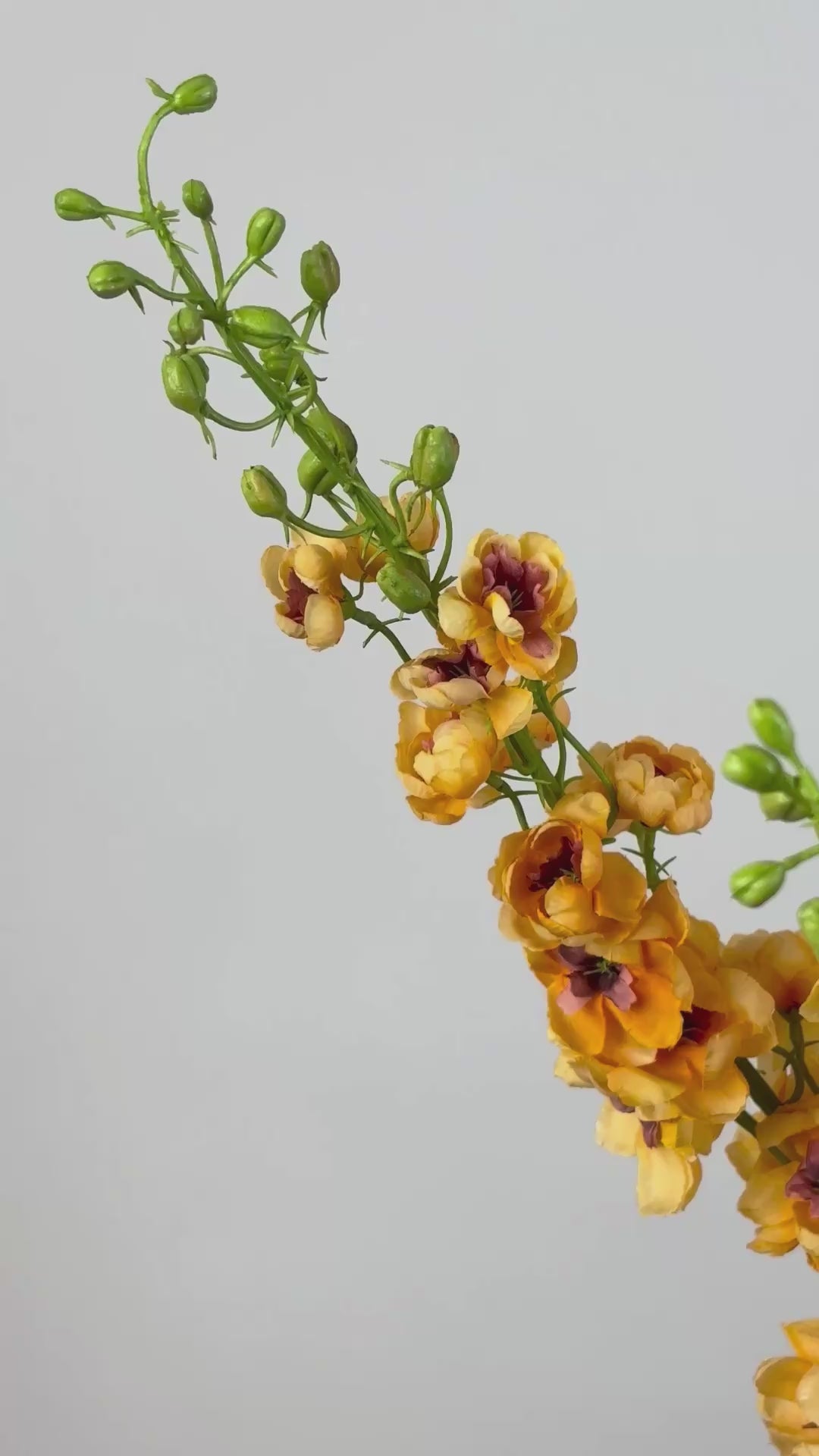 Video laden: Rittersporn 127 cm 1 Stk. - Kunstblume