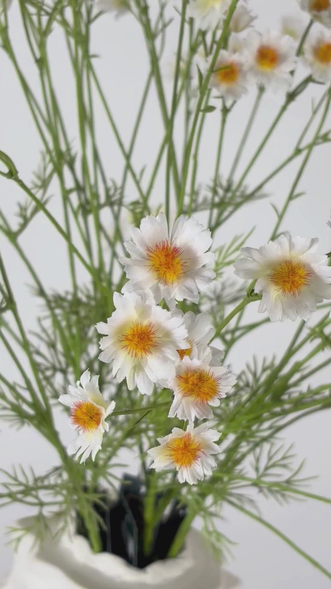 Video laden: Kamille 76 cm 1 Stk. - Kunstblume
