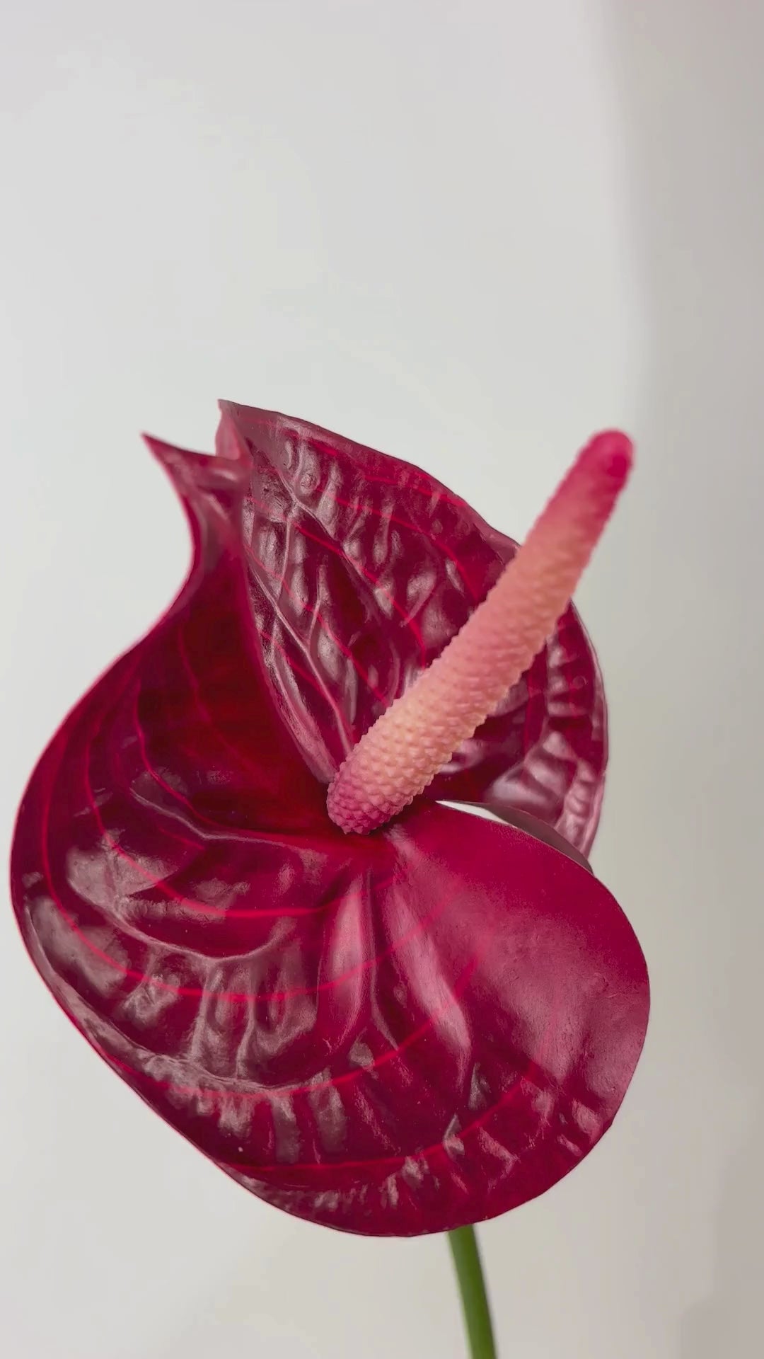 Charger la vidéo : Fleur flamant rose 66 cm 1 pièce - fleur artificielle 
