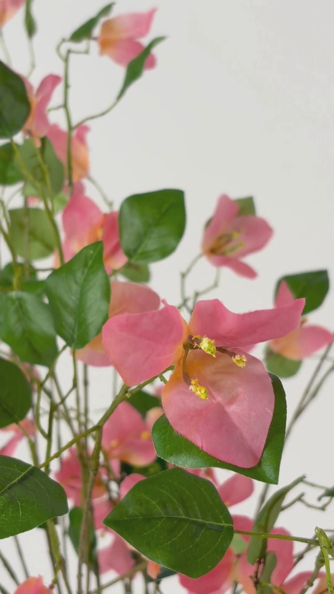 Charger la vidéo : Bougainvillier 125 cm 1 p. - Branche artificielle