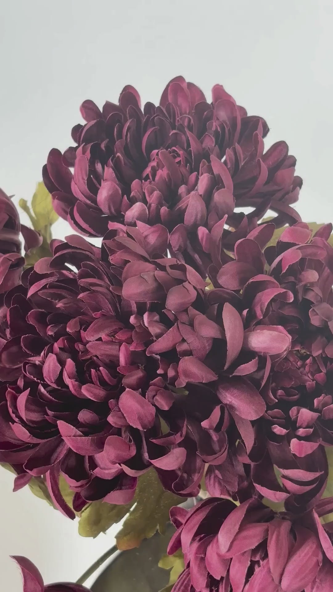 Video laden: Chrysantheme 74 cm 1 Stk. - Kunstblume