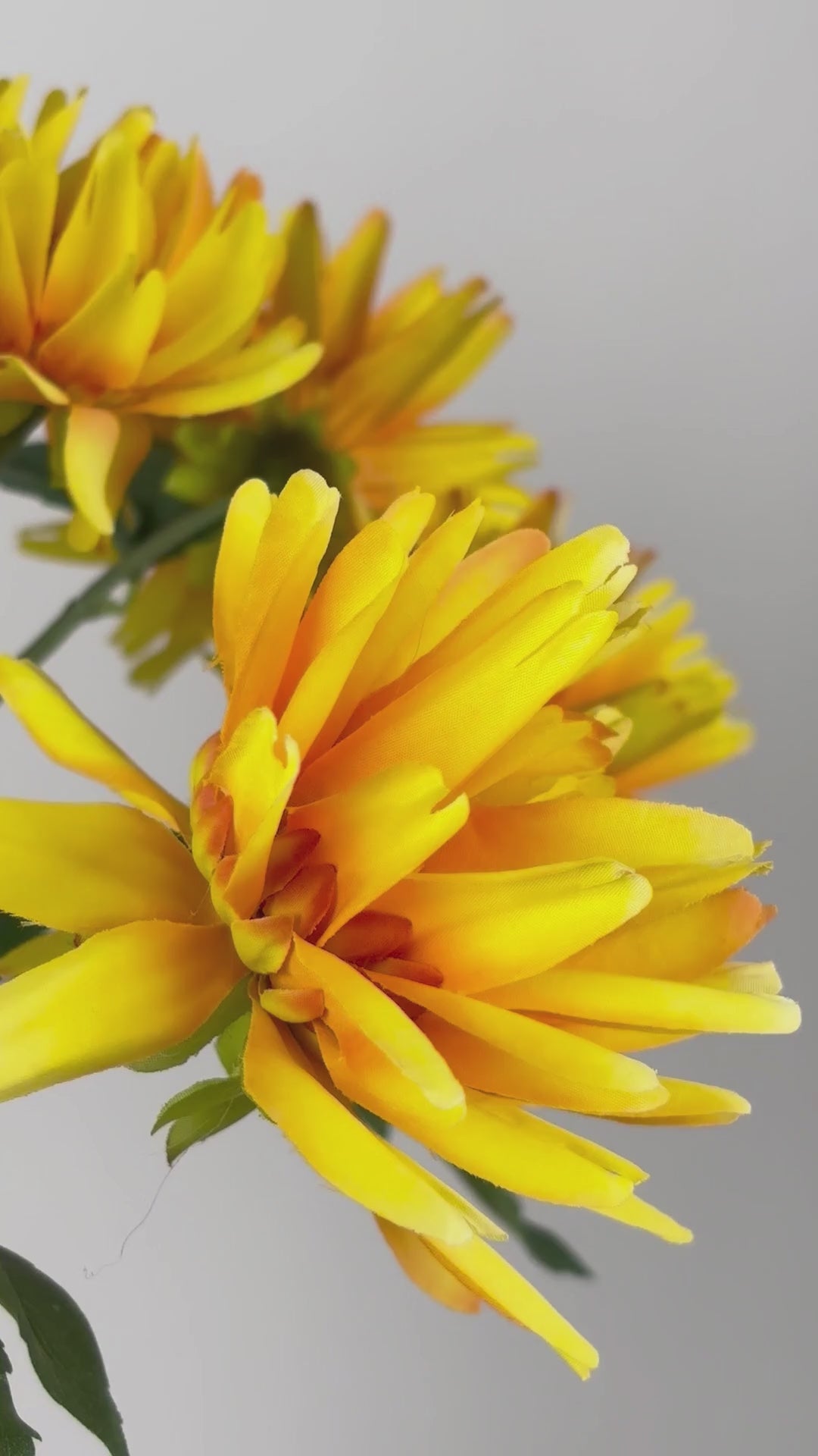 Load video: Dahlia 76 cm 1 pc - Artificial Flower