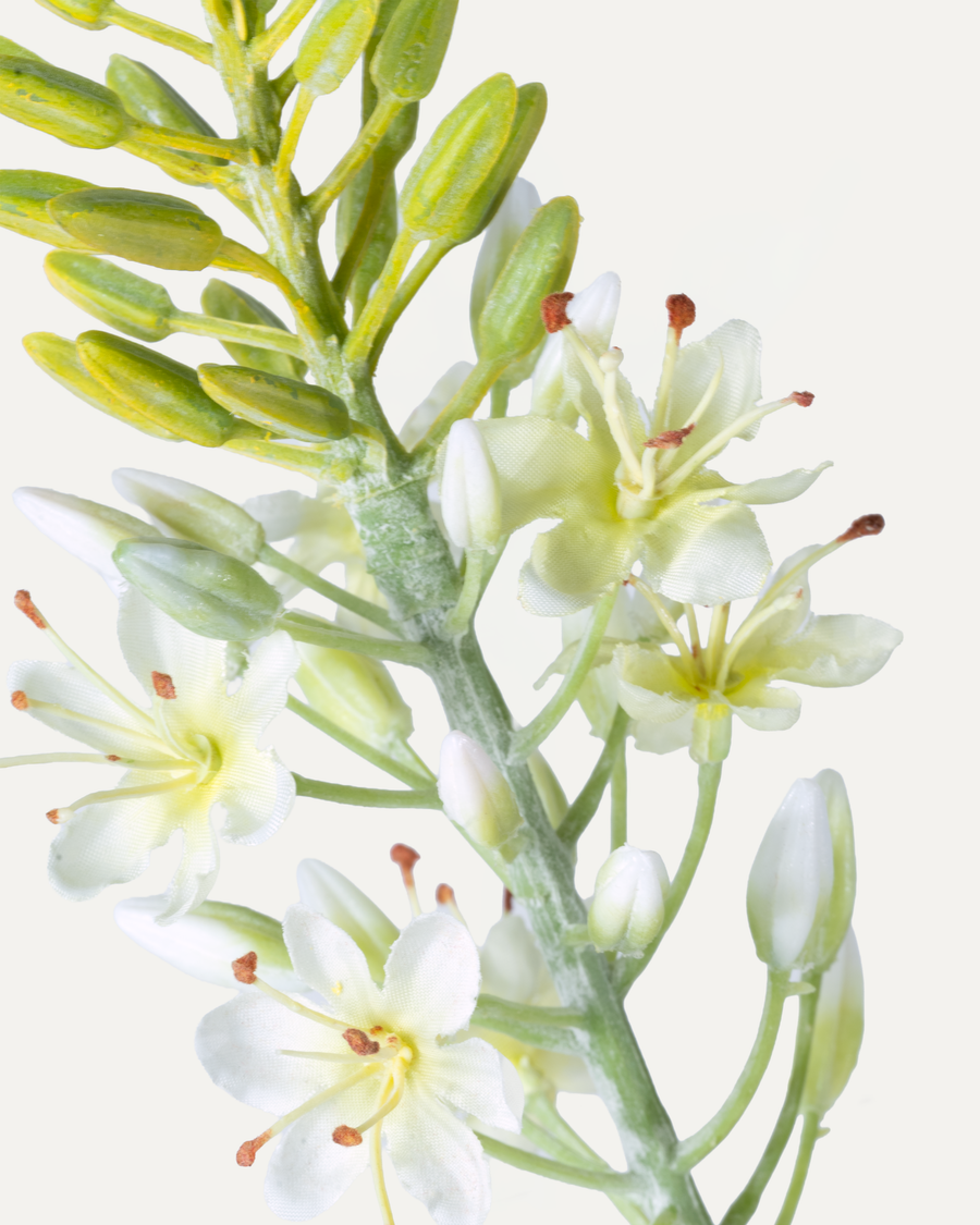 Bougie queue de renard 105 cm 1 pièce - fleur artificielle 
