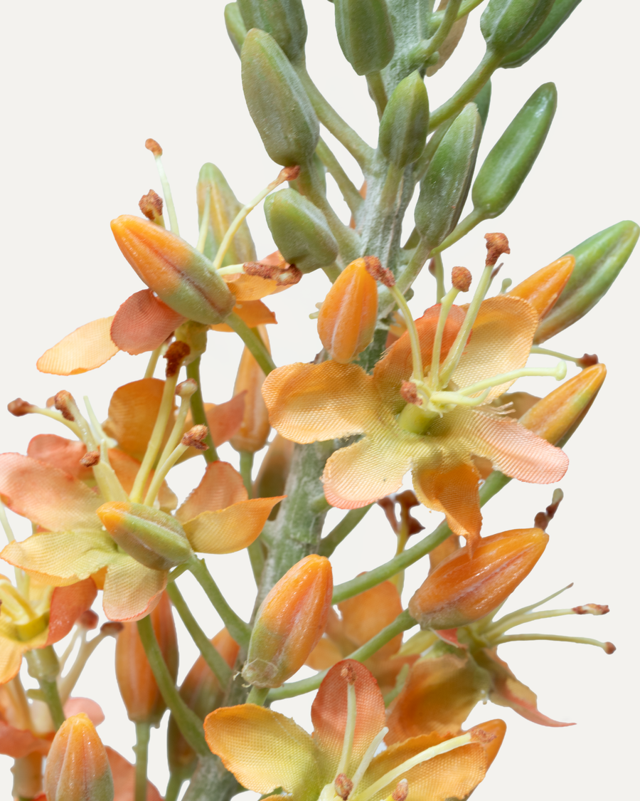 Bougie queue de renard 105 cm 1 pièce - fleur artificielle 