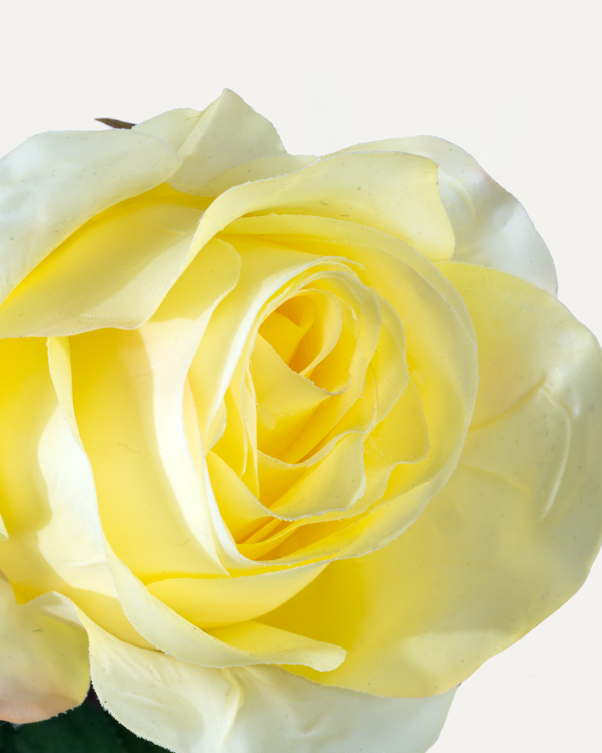 Rose 57 cm 1 pc. - Fleur artificielle