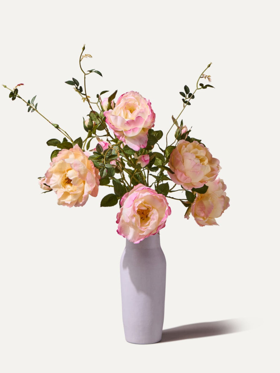 The Rosé
