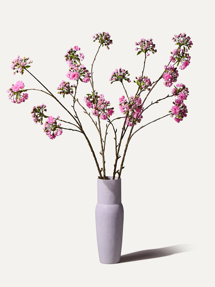 The Sakura