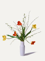 The Holland - Size L