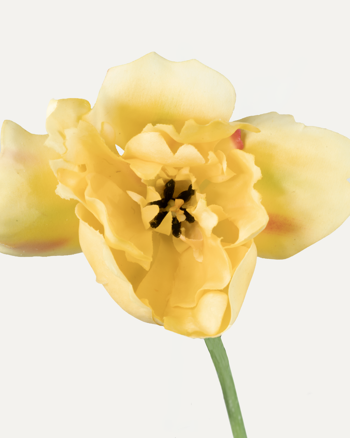 Tulpen Bouquet "Gelb"